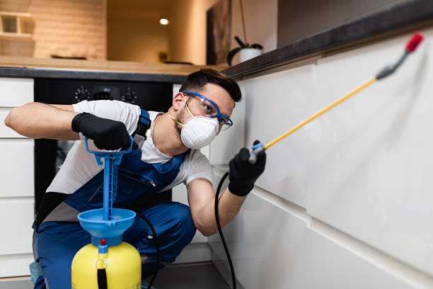 Best Best Pest Control Companies  in Markesan, WI