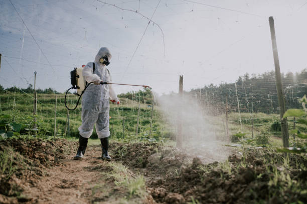 Best Termite Control Services  in Markesan, WI
