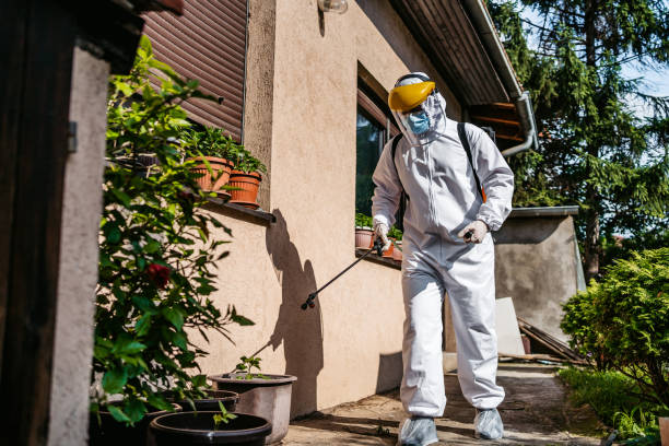 Reliable Markesan, WI Pest Control Solutions