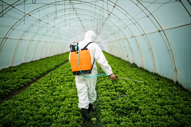 Best Pest Prevention Services  in Markesan, WI