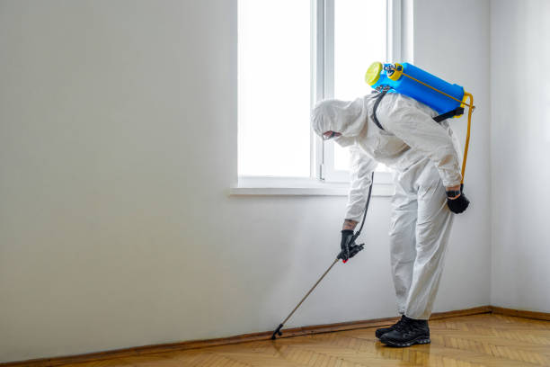 Wildlife Control Services in Markesan, WI