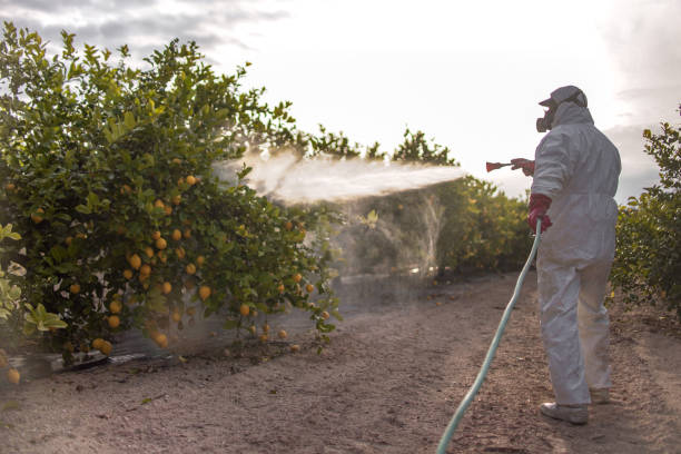 Best Commercial Pest Control Services  in Markesan, WI