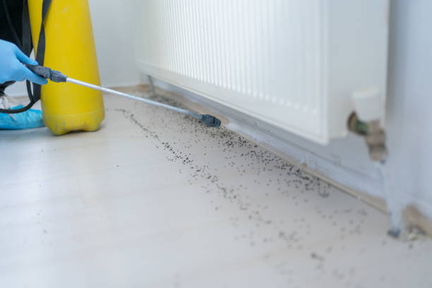 Best Pest Inspection Near Me  in Markesan, WI
