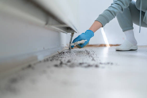 Best Pest Removal Services  in Markesan, WI