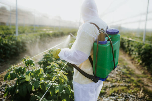 Best Affordable Pest Control Services  in Markesan, WI